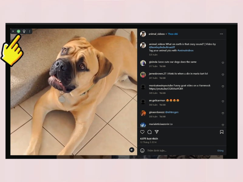 Bạn nhấn Tải về để lưu video Instagram về máy tính một cách nhanh chóng